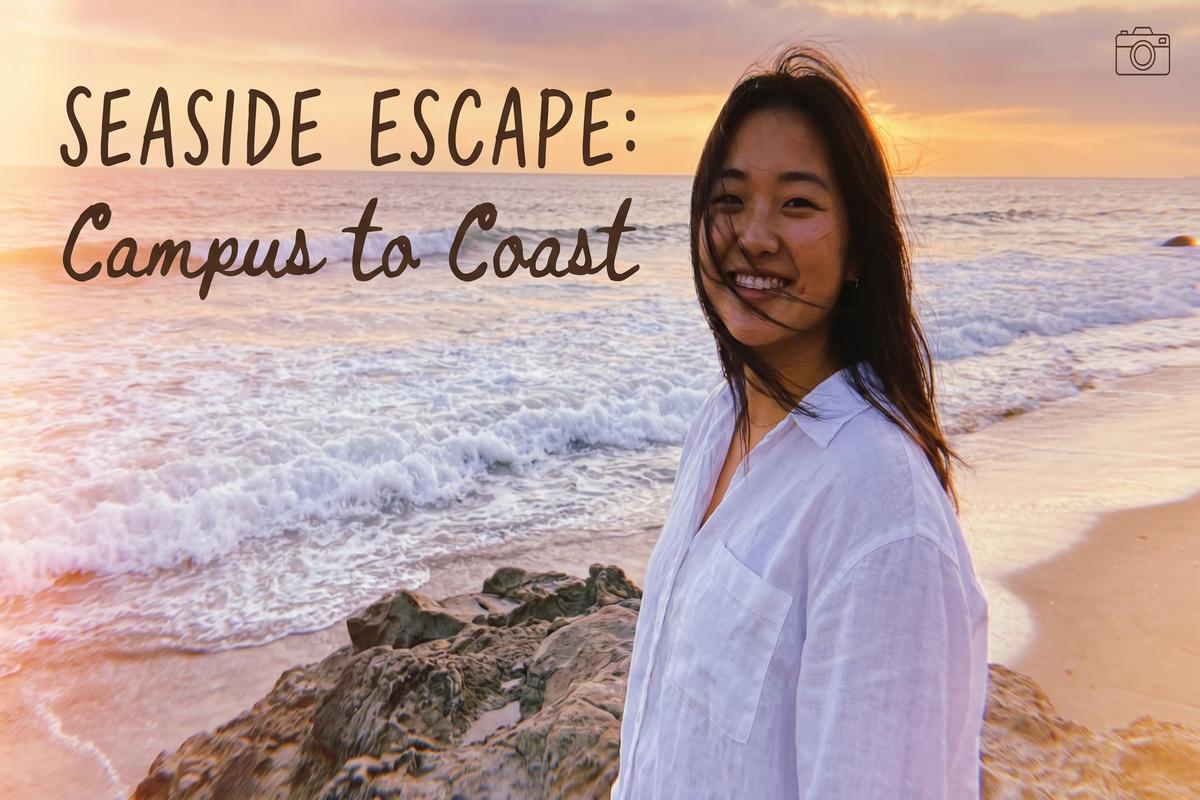 青柠视频传媒旅行视频